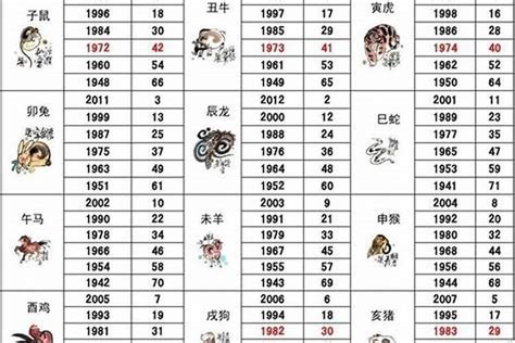 2028 生肖|2028年属什么生肖 2028年属什么生肖是什么命